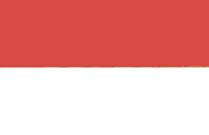 Indonesia Flag 2 X 3 ft. Junior