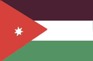 Jordan Flag 2 X 3 ft. Junior