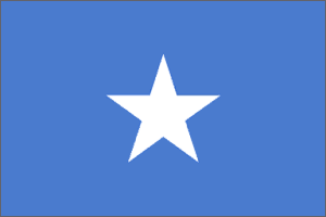 Somalia Flag 4 X 6 inch on stick