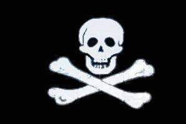 Jolly Roger - No Patch - Pirate Flag - Standard