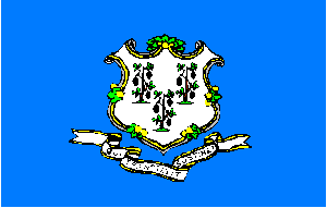 Connecticut Knitted Nylon Flag 5 x 8 Flag