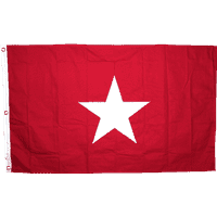 Jane Long 3 x 5 ft. Double Nylon Embroidered Flag