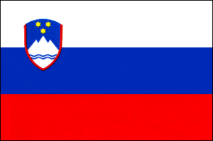 Slovenia Flag 12x18 inch on a stick