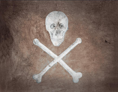 Old Pirate 3x5 ft Flag - Rough Tex