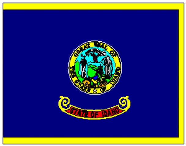 State of Idaho Flag 3x5 ft. Economical