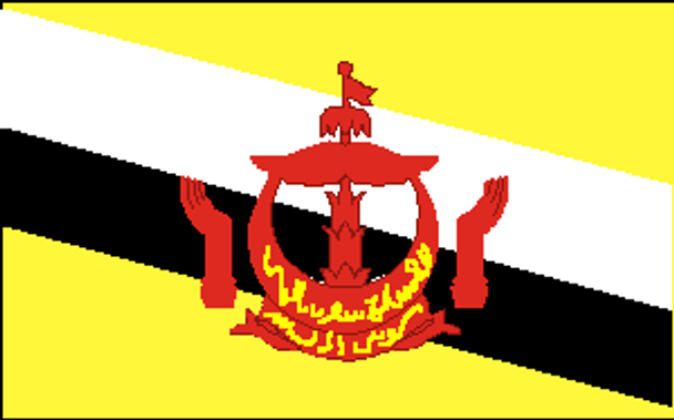 Brunei Flag 3x5 ft. Standard