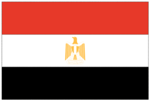 Egypt Flag 3x5 ft. Economical