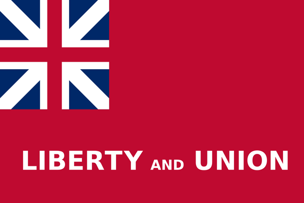 Taunton Flag, Liberty and Union Flag 3 X 5 ft. Standard