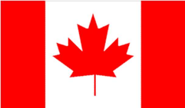 Canadian Flag - Economical