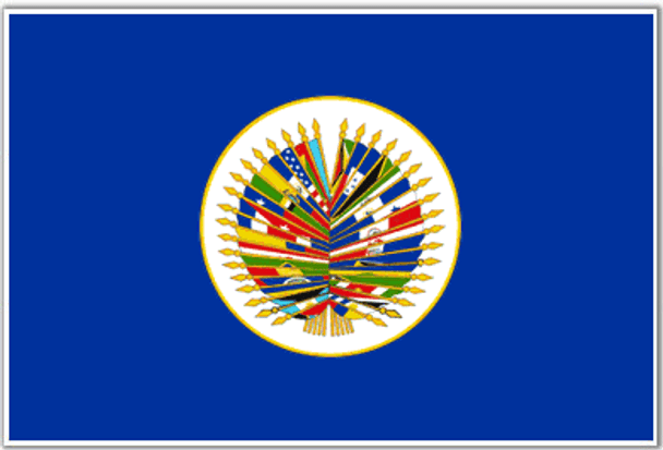 OAS (Organization of American States) Flag 3x5 ft Economical