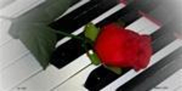 Piano Keys and Red Rose License Plate