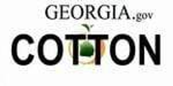 Georgia State Background License Plate