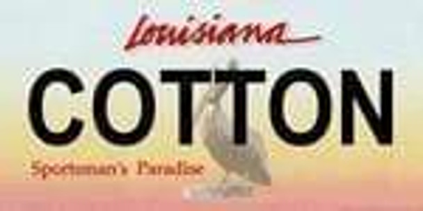 Louisiana State Background License Plate