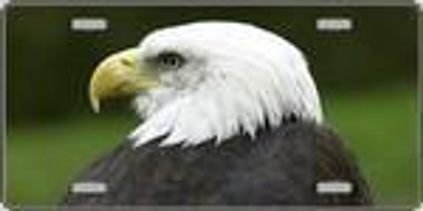 Bald Eagle - Full Color Photography License Plate