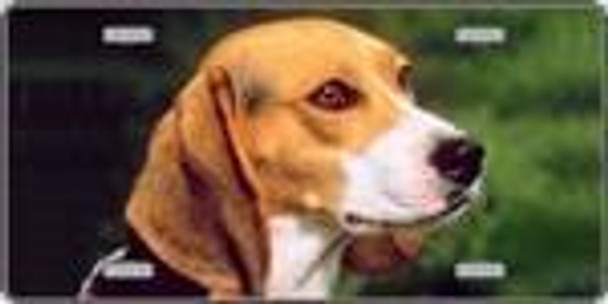 Beagle Dog License Plate