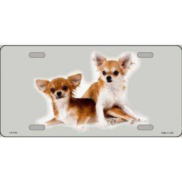 Chihuahua Dog License Plate