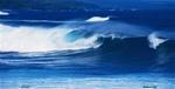 Ocean Waves License Plate