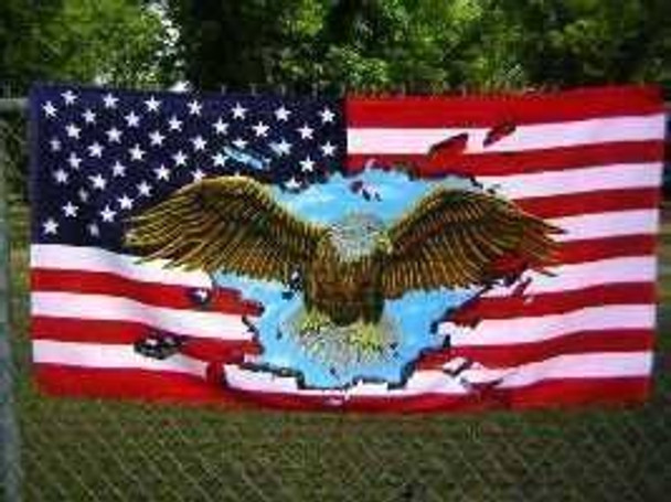 USA Eagle Beach Towel