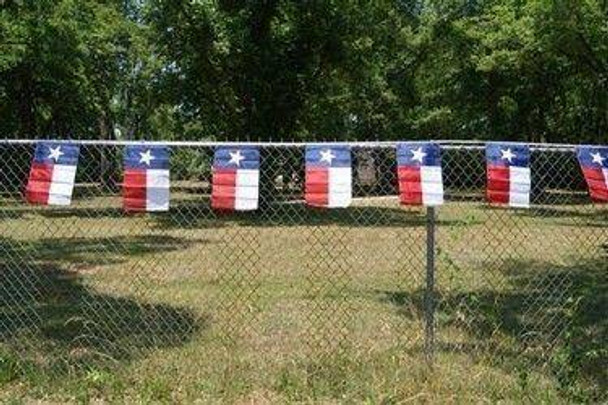 Texas 12 x 18 inch String Flags