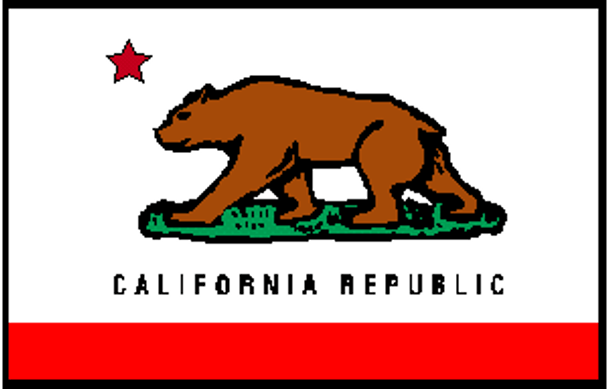 California Nylon Printed Flag 3 x 5 ft. with Fringes