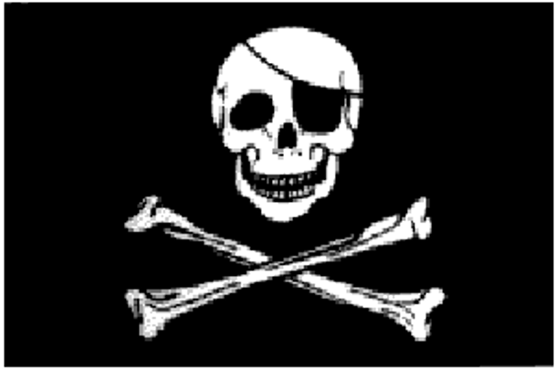 Pirate Flag Skull w/patch, Jolly Roger Flag 4 X 6 inch on stick