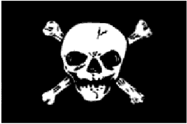 Skull Poison Jolly Rogers Poison Flag 12 x 18 inch on Stick