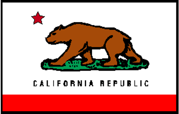 California Flag 2x3 ft. Junior