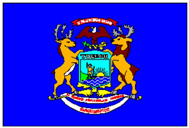 State of Michigan Flag 4 X 6 Inch pack of 10