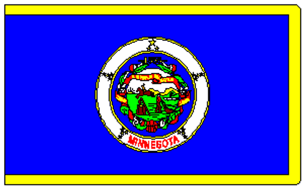 State of Minnesota Flag 4 X 6 ft. Large