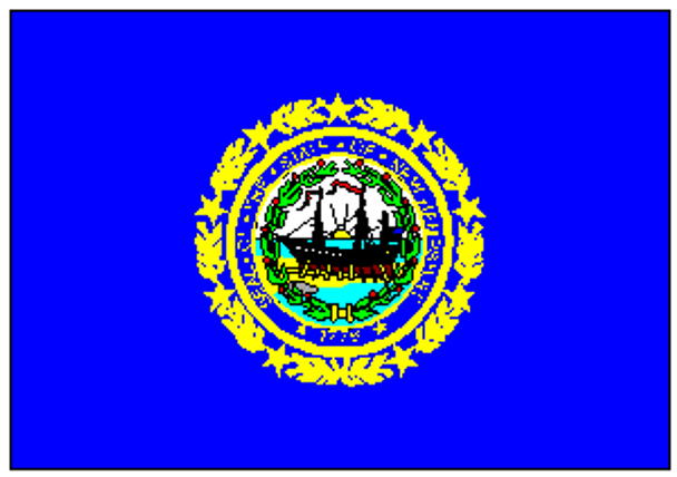 State of New Hampshire Flag 4 X 6 Inch pack of 10