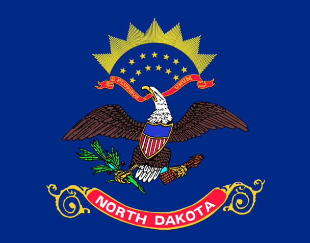State of North Dakota Flag 2 X 3 ft. Junior