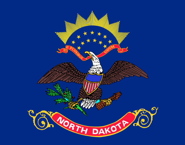 State of North Dakota Flag 4 X 6 inch on stick