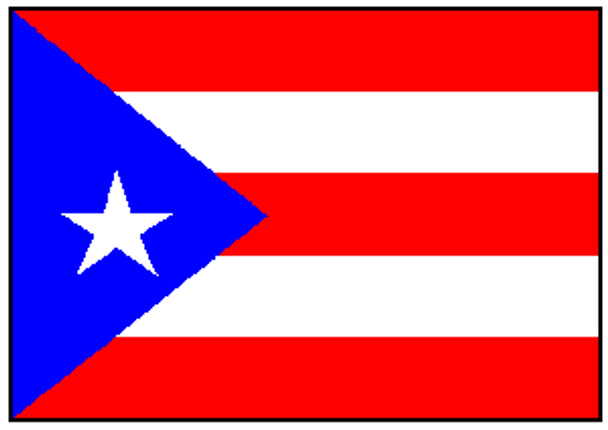 Puerto Rico Flag 2 X 3 ft. Junior