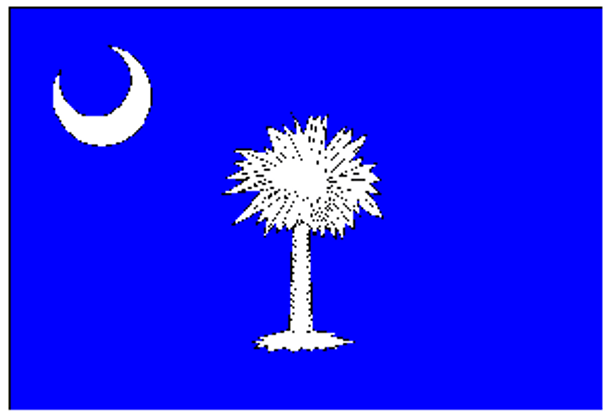 State of South Carolina Flag 12 x 18 inch on Stick