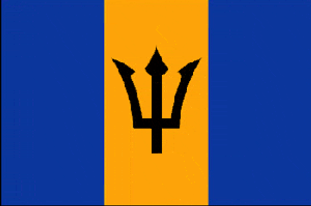 Barbados Flag 2 X 3 ft. Junior