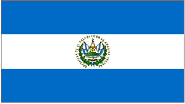 El Salvador Flag 4 X 6 Inch pack of 10