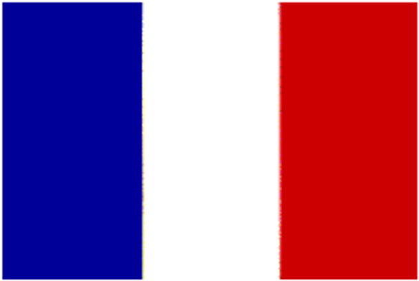 France Flag 12 X 18 inch with grommets Standard