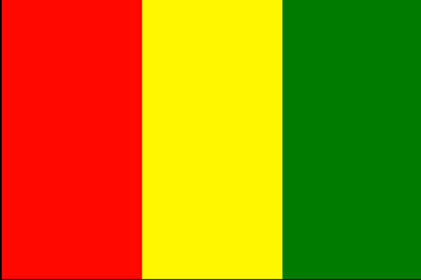 Guinea Flag 4 X 6 inch on stick