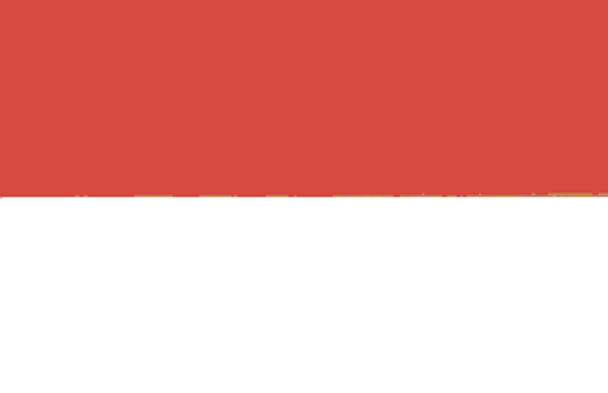 Indonesia Flag 2 X 3 ft. Junior