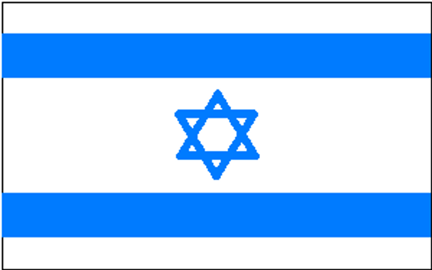 Israel Flag 2 X 3 ft. Junior