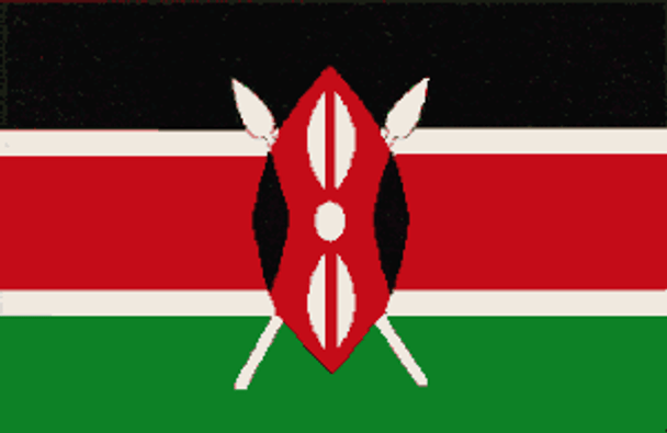 Kenya Flag 2 X 3 ft. Junior