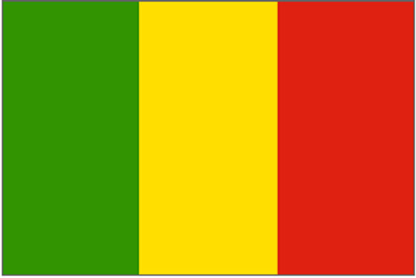 Mali Flag 2 X 3 ft. Junior