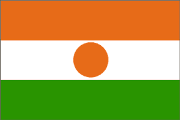 Niger Flag 4 X 6 inch on stick