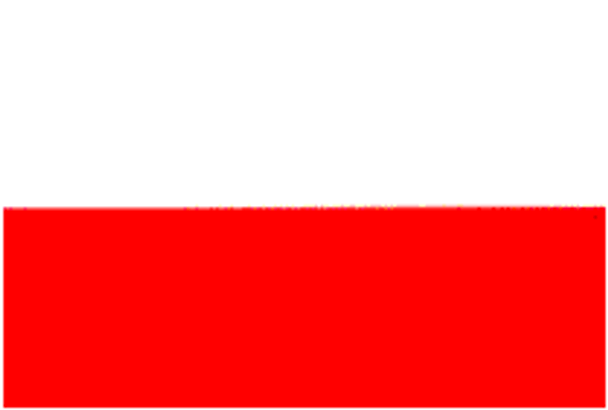 Poland Flag 4 X 6 Inch pack of 10