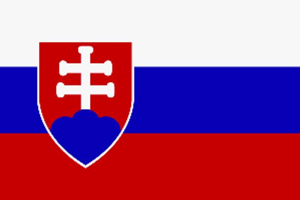 Slovakia Flag 2 X 3 ft. Junior