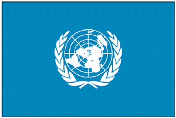 United Nations UN Flag 4 X 6 inch on stick