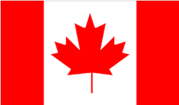 Canadian Flag, Flag of Canada, Canada Flag 2x3 ft. Junior