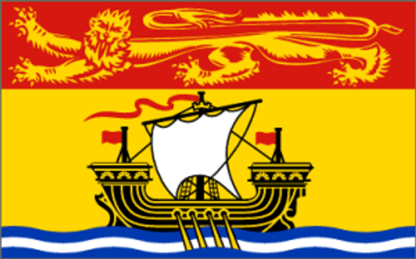 New Brunswick Flag (Canada) 4 X 6 Inch pack of 10