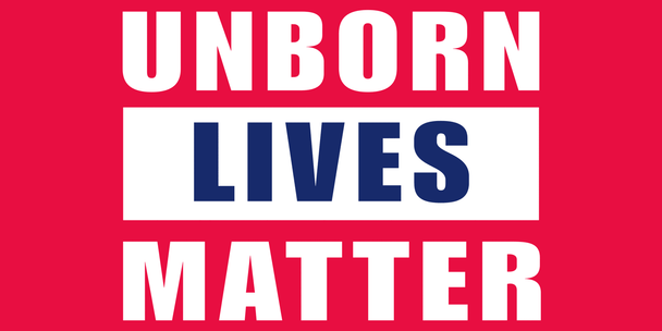 Unborn Lives Matter Flag - Made in USA