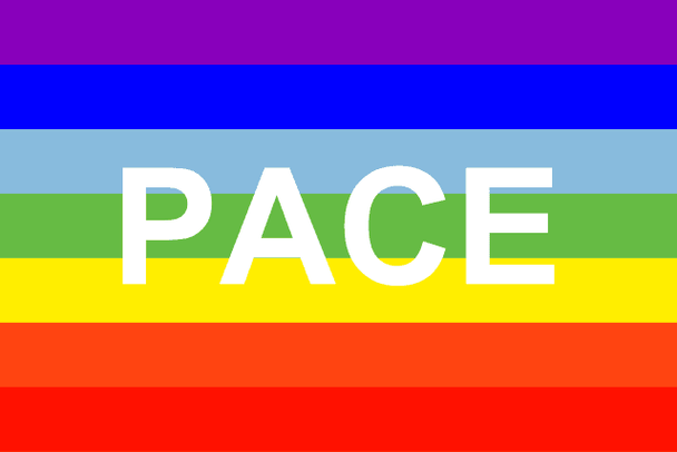 The Peace Flag (Pace) Flag - Made in USA